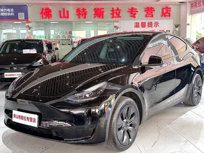 2024 Tesla Model Y Rear-Wheel Drive Version, фото 1, лот 10455226