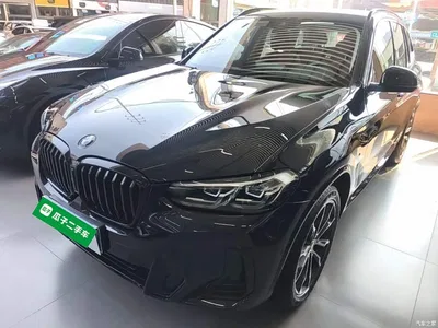 2023 BMW X3 xDrive30i Leading M Night Package, фото 1, лот 10461635