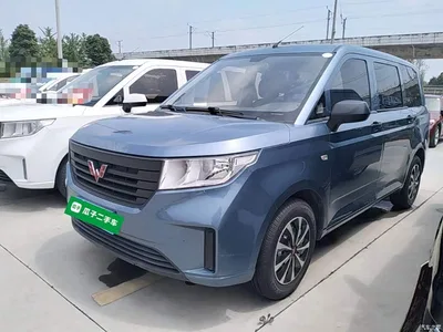 2020 Wuling Motors Wuling Hongguang PLUS 1.5L Manual Standard 7-seater, фото 1, лот 10371473