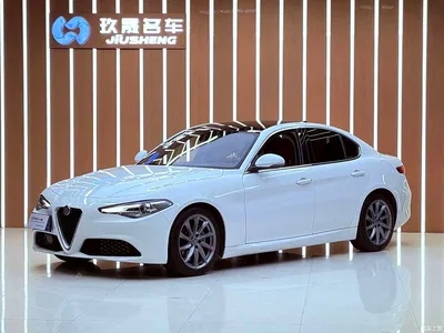 2017 Alfa Romeo Giulia 2.0T 200HP Luxury Edition, фото 1, лот 11584414