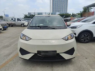 2025 BYD Seagull Smart Drive Edition 305km Vitality Version, фото 3, лот 10263027