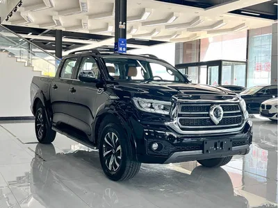 2023 Great Wall Pao 2.0T Passenger Automatic Diesel 4WD Sport GW4D20M, фото 3, лот 10246022