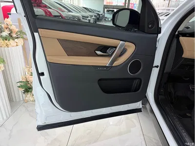 2024 Land Rover Discovery Sport Performance Technology Edition, фото 4, лот 10330242