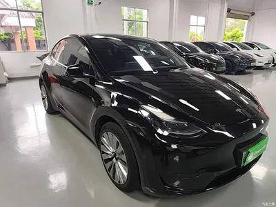 2023 Tesla Model Y Rear-Wheel Drive Edition, фото 4, лот 10369690