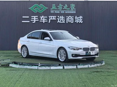 2018 BMW 3 Series 320Li Fashion Style, фото 3, лот 11018008