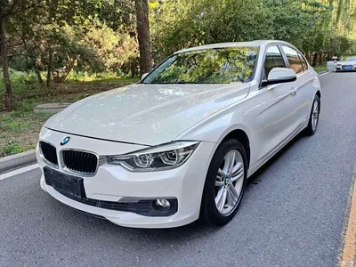 2016 BMW 3 Series 320Li Progressive, фото 1, лот 11196903