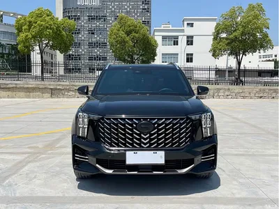 2022 GAC Trumpchi Trumpchi GS8 Pilot Series 2.0TGDI 4WD Luxury Smart Connect Edition (7-Seater), фото 2, лот 10420270