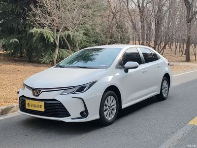 2023 Toyota Corolla 1.2T Pioneer Edition, фото 1, лот 10320156