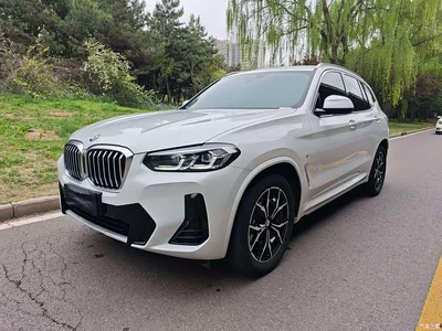 2022 BMW X3 Facelift xDrive25i M Sport Package, фото 1, лот 10461492