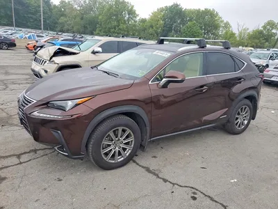2019 LEXUS NX 300H, фото 1, лот 10846416