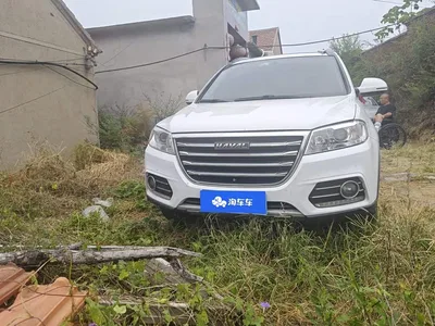 2021 Haval H6 Sport 1.5T Auto Elite Smart Connect (U Grille), фото 2, лот 11227874