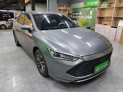 2023 BYD Qin PLUS Champion Edition DM-i 55KM Leading, фото 4, лот 10768022