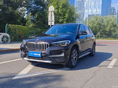 2020 BMW X1 sDrive20Li Premium Edition, фото 1, лот 10399664