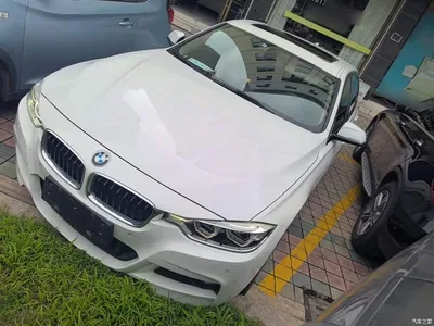2019 BMW 3 Series 320Li M Sport Package, фото 1, лот 10457538