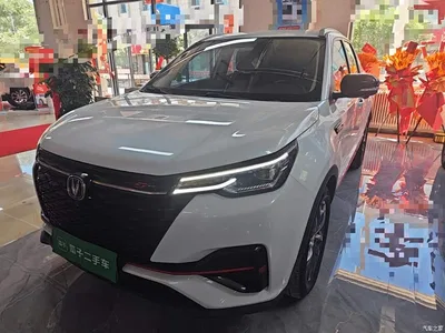2021 Changan CS55 PLUS Blue Whale Edition 1.5T DCT Premium, фото 2, лот 10253915