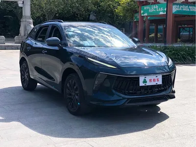2021 Dongfeng Fengxing T5 EVO 1.5TD DCT Diamond Edition, фото 2, лот 11160913
