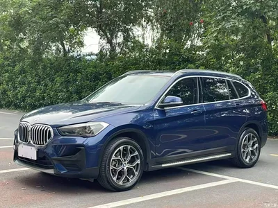 2020 BMW X1 sDrive25Li Leading Model, фото 2, лот 10467157
