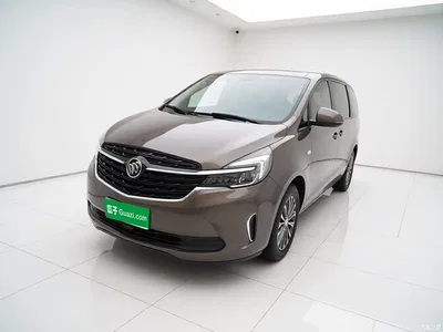 2020 Buick GL8 Model Land Business Class 652T Luxury, фото 2, лот 10262206