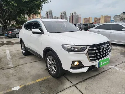 2021 Haval H6 National Trend Edition 1.5GDIT Automatic Champion Edition, фото 4, лот 10285608