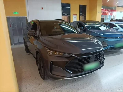 2022 BYD Tang New Energy DM-p 215KM AWD Flagship, фото 4, лот 11011810