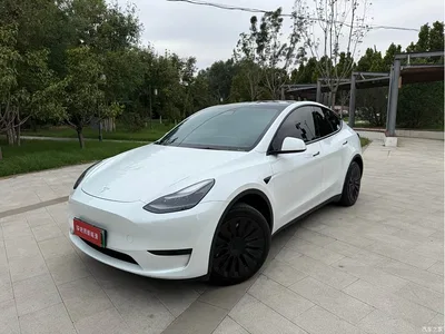 2023 Tesla Model Y Rear-Wheel Drive Edition, фото 1, лот 11244416