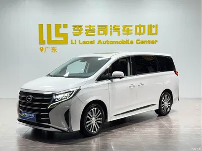 2023 GAC Trumpchi Trumpchi M8 Leading Series 390T Prestige Edition, фото 1, лот 10415474