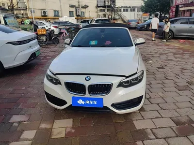 2018 BMW 2 Series (Import) 220i Convertible Coupe Sport Design Package, фото 2, лот 10895098