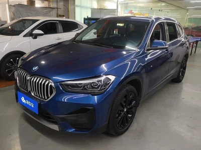 2020 BMW X1 sDrive20Li Premium Edition, фото 1, лот 10465557