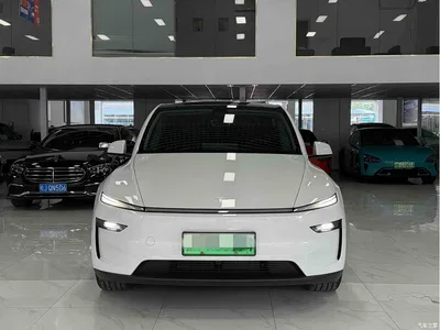 2025 Tesla Model Y Rear-Wheel Drive, фото 2, лот 10764158