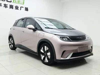 2021 BYD Dolphin 401km Knight Edition, фото 2, лот 10243913