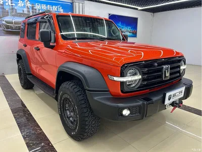 2021 Tank 300 Off-road Version 2.0T Conqueror, фото 3, лот 11499383