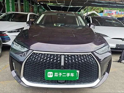 2018 WEY P8 2.0T Flagship Model, фото 3, лот 11569521