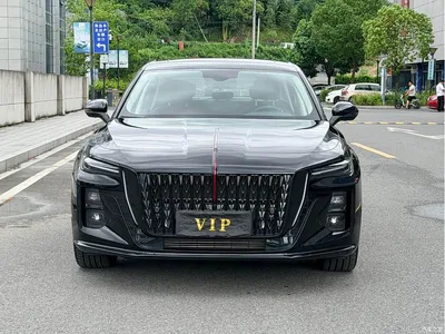 2025 Hongqi H5 1.5T DCT Mystic Shadow 2 Million Edition, фото 2, лот 10361094