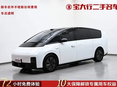 2025 Li Auto MEGA Model Home Family Special Edition, фото 1, лот 10444158