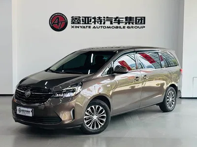2021 Buick GL8 Land Business Class 652T Comfort, фото 2, лот 10246070