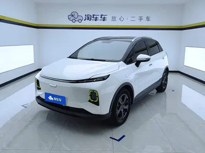 2022 Geely E Firefly 401KM Delicate Tiger 4-seater, фото 1, лот 11144886