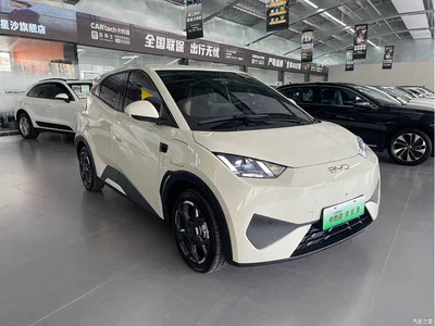 2025 BYD Seagull Smart Drive Edition 305km Freedom Version, фото 3, лот 10248379