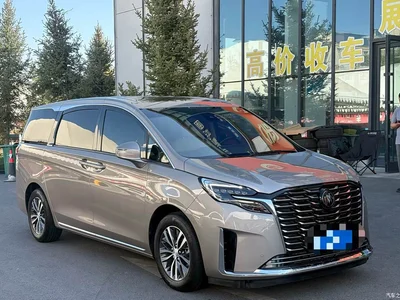 2023 Buick GL8 ES Landmaster Exclusive, фото 1, лот 10252452