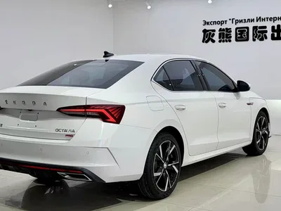 2022 Škoda Octavia PRO TSI280 Luxury Edition, фото 4, лот 10348759