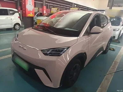 2024 BYD Seagull Glory Edition 305km Vitality Edition, фото 2, лот 10259859