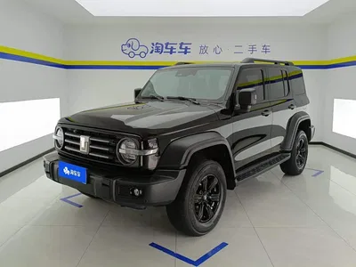 2024 Tank 300 Model 2.0T Challenger, фото 1, лот 10599503