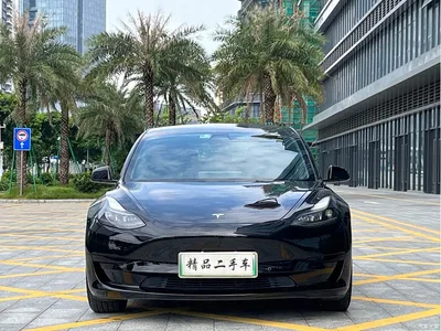 2021 Tesla Model 3 Standard Range Rear-Wheel Drive Upgrade, фото 2, лот 10369186