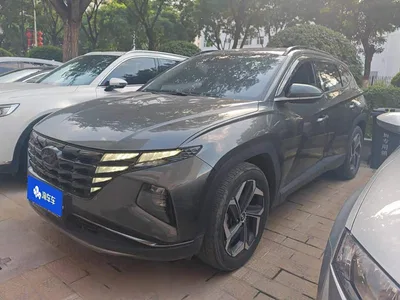 2023 Hyundai Tucson L 1.5T Automatic 2WD LUX Premium Edition, фото 1, лот 10615844