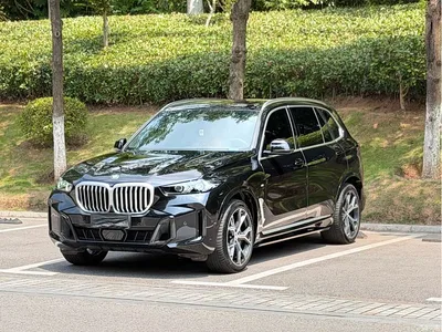 2023 BMW X5 xDrive 30Li Premium M Sport Black Night Package, фото 1, лот 10658414