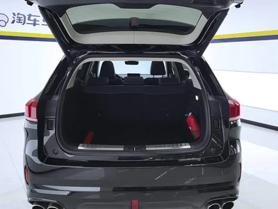 2018 WEY VV6 2.0T 2WD Super Luxury China V, фото 4, лот 11202196