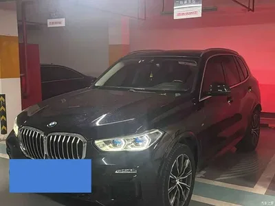 2021 BMW X5 (Import) Facelift xDrive30i M Sport Package, фото 1, лот 11016754
