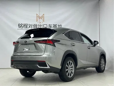 2020 Lexus NX 200 AWD F Sport China V, фото 4, лот 10317706