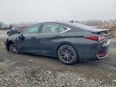 2023 LEXUS ES 300H BASE, фото 2, лот 10900897