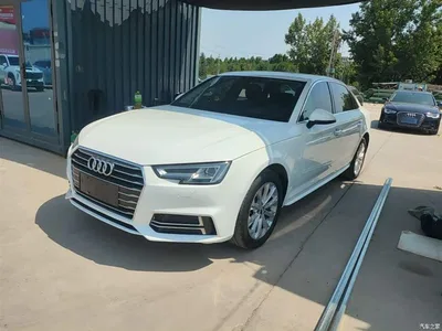 2019 Audi A4L 40 TFSI Progressive (China VI), фото 1, лот 10439853