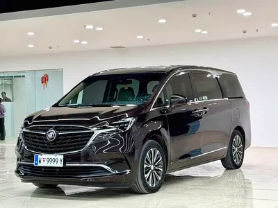 2020 Buick GL8 ES Landglory 653T Flagship, фото 1, лот 10252790